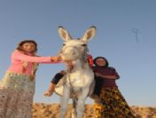 Okula Gidemeyen Çocuklar Cahil Kalmak İstremiyor