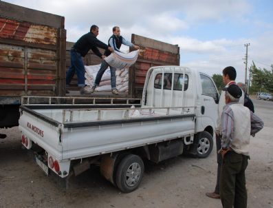 ZEKI SEZER - Bayramiç'te Çiftçiye Tohum Desteği