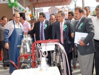 RAMAZAN KERIM ÖZKAN - İnek Şenliği Başladı