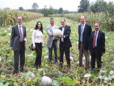 YAŞAR YAZıCı - Orman Köyleri İlişkileri Genel Müdürü Yalınkılıç Akyazı'da