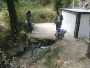 Sudaki 'Balık Kokusu' Araştırılıyor