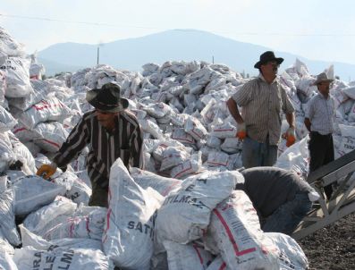 CUMALI ATILLA - Beyşehir'de Kömür Dağıtım Seferberliği