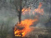 Çankırı'daki yangın yerleşim yerlerine sıçradı