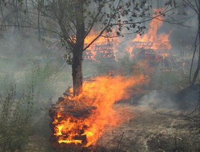 Çankırı'daki yangın yerleşim yerlerine sıçradı