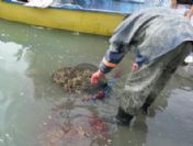 Çıldır Gölünde İstakoz Avı Son Erdi