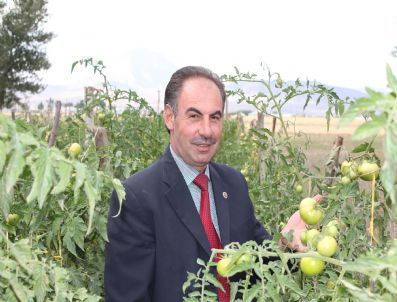 NURETTIN ÖZTÜRK - Belde Halkının Yeni Umudu Meyve Ve Sebzecilik