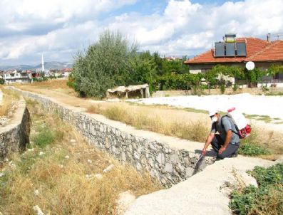 Bucak'ta Sivrisinek İle Mücadele
