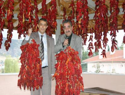 YARıMCA - Çatı Altında Kurutulan Biberler Kazancı Da Arttırdı