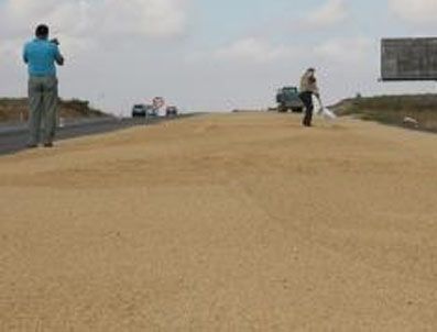 Tonlarca çeltik asfalta seridi