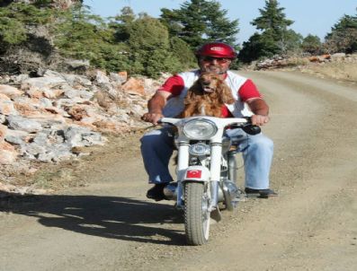 BEETHOVEN - Motosiklet Tutkunu Köpek