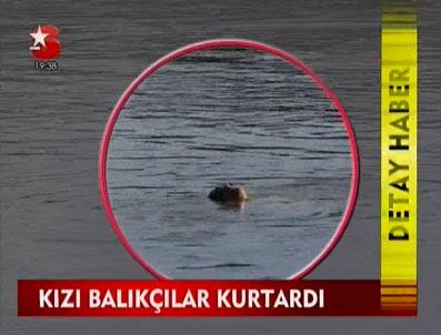 Hayatla ölüm arasındaki ince çizgi