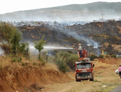 Akşehir'de Orman Yangını