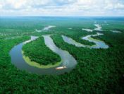 Bize para verin ormana dokunmayalım