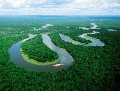 EKVADOR - Bize para verin ormana dokunmayalım