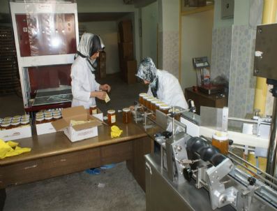 Hakkari'de Bal Dolum Ve Paketleme Tesisi Açıldı