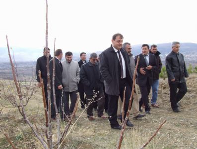 HÜSEYIN ÖZER - Suşehri'nde Rehabilitasyon Çalışmaları Başladı