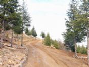 Türkiye'nin İlk Büyük Kent Ormanı