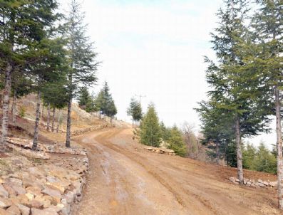 Türkiye'nin İlk Büyük Kent Ormanı