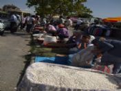 Akça Mercimek Ekiminde Büyük Artış