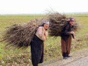 Doğulu Kadın Kaderine Razı Olmuyor