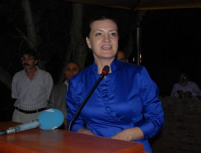 SAĞDUYU (ESKİ) - Sağduyu Platformu 'Evet' Çağrısında Bulundu