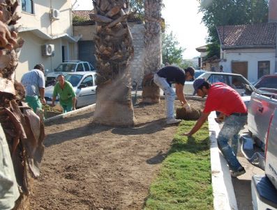 AKKENT - Milas'ta Parklara Rulo Çim Uygulanıyor