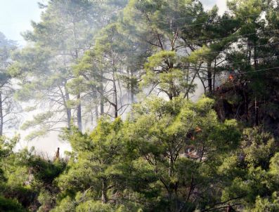 TOPCAM - Antalya'da Orman Yangını