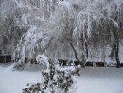 Bahçesaray'da Kar Yağışı