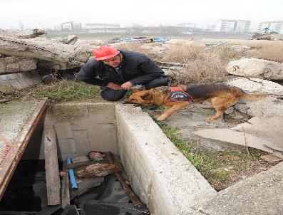 Ankara İtfaiyesi’nin K-9 arama kurtarma köpekleri her an göreve hazır
