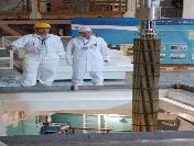 Buşehir‘de Çernobil iddiasına Rosatom‘dan cevap; herhangi bir virüs yok