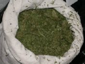 Ankara'da 50 kg esrar yakalandı