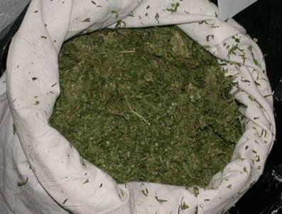 Ankara'da 50 kg esrar yakalandı