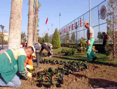 KAZANLı - Akdeniz Belediyesi'nden Yeşillendirme Çalışması