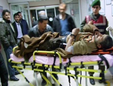 KADıLAR - Domuzlardan Kaçan Sürücü Kaza Yaptı