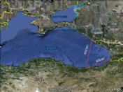 Rusya'ya Çiçek Satışında Kolombiya'dan Karadeniz'e Fark