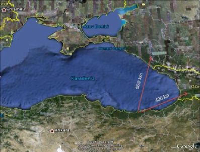 Rusya'ya Çiçek Satışında Kolombiya'dan Karadeniz'e Fark