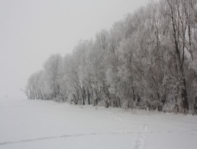 Yüksekova'da Kış