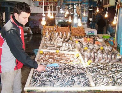 AV MEVSIMI - Gemlik Körfezi'nde Kaykay Yok, Balıkçılar Rahat