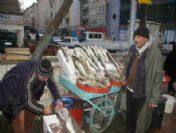 Kırşehir'de Balık Bereketi Yaşanıyor