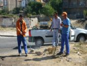 Nevşehir'de Her Gün 130 Ton Çöp Toplanıyor