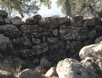 TANRı - Tokaçgemriği Kutsal Alan