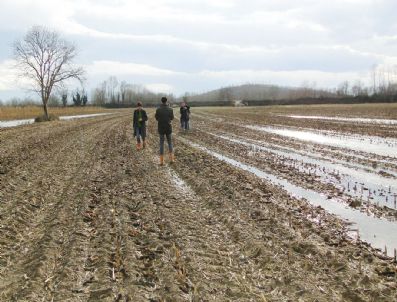 Sakarya'da Güme Operasyonu