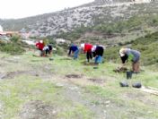 Kavaklıdere'ye 2 Ayda 3 Bin Ağaç Dikildi