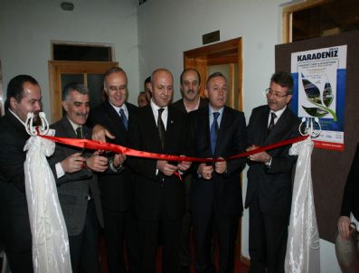 ANADOLU SIGORTA - 'Bir Usta, Bin Usta' Projesi Hayata Geçiyor