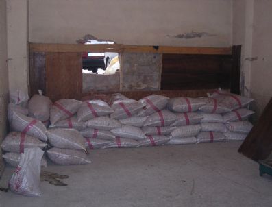 Fiyat Artınca Hırsızlar Duvarı Delip Kayısı Çalıyorlar