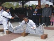 Tekvando Antrenörü, Wushu Lisansı Çıkardı