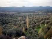 Türközü Köyüne Talih Kuşu Kondu