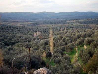 Türközü Köyüne Talih Kuşu Kondu