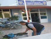 Hatay'da 10,5 Kilo Esrar Ele Geçirildi