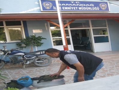 Hatay'da 10,5 Kilo Esrar Ele Geçirildi
